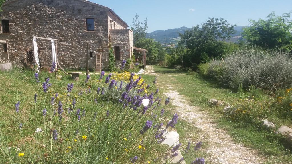 Sasso Erminia R&B Ecosostenibile Novafeltria Zewnętrze zdjęcie